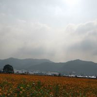 輕鬆自由放縱之地