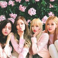 กลุ่ม black pink