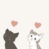 貓咪星球🐱