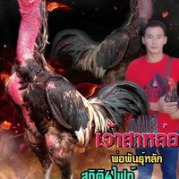 ซุ้มป.ประคองใจ
