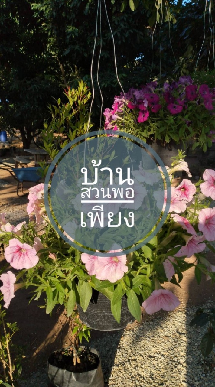 บ้านสวนพอเพียง คาเฟ่
