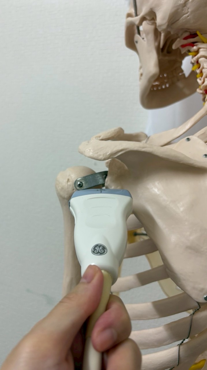 【情報共有】コメディカルのお部屋👧