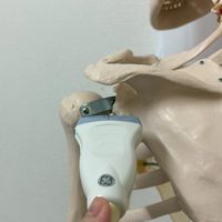 【情報共有】コメディカルのお部屋👧
