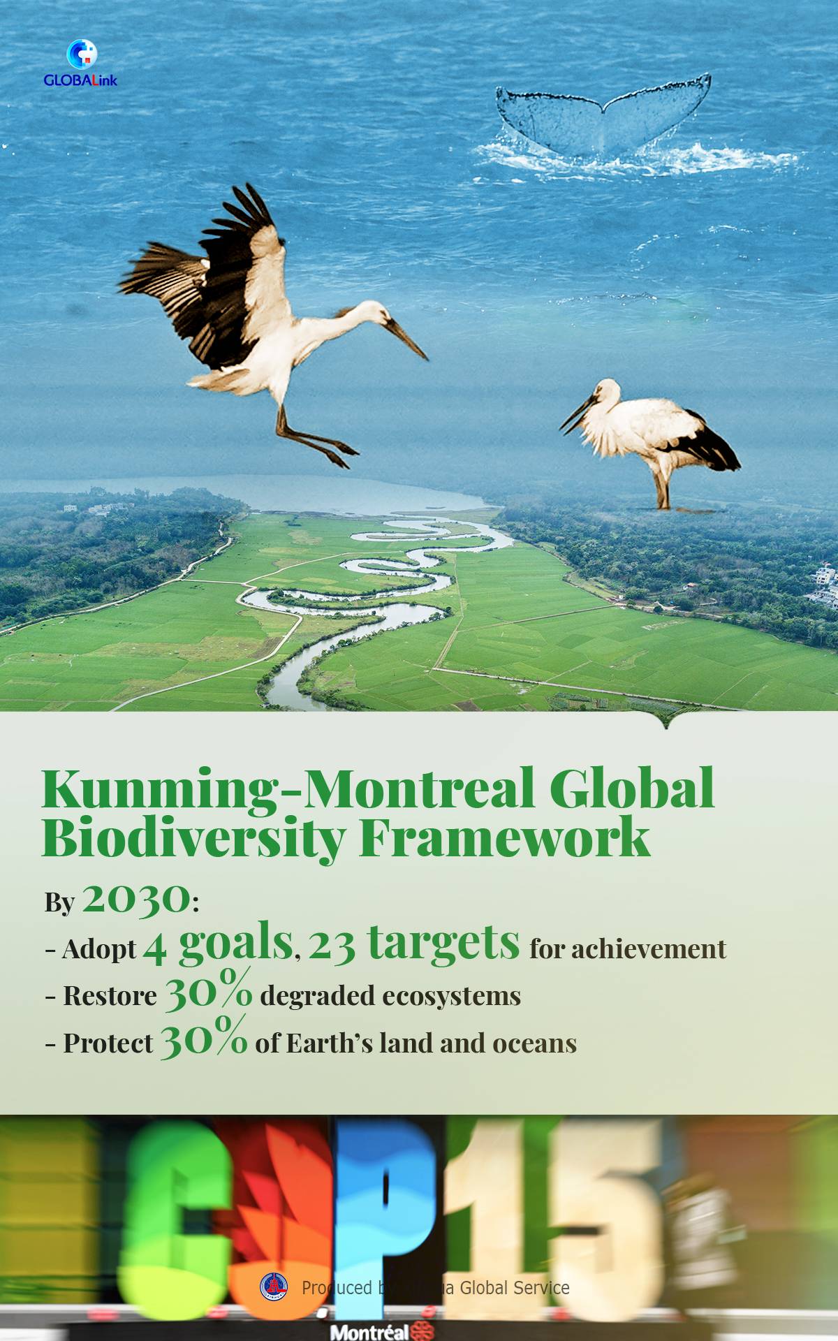 Poster: Things To Know About Kunming-Montreal Global Biodiversity ...