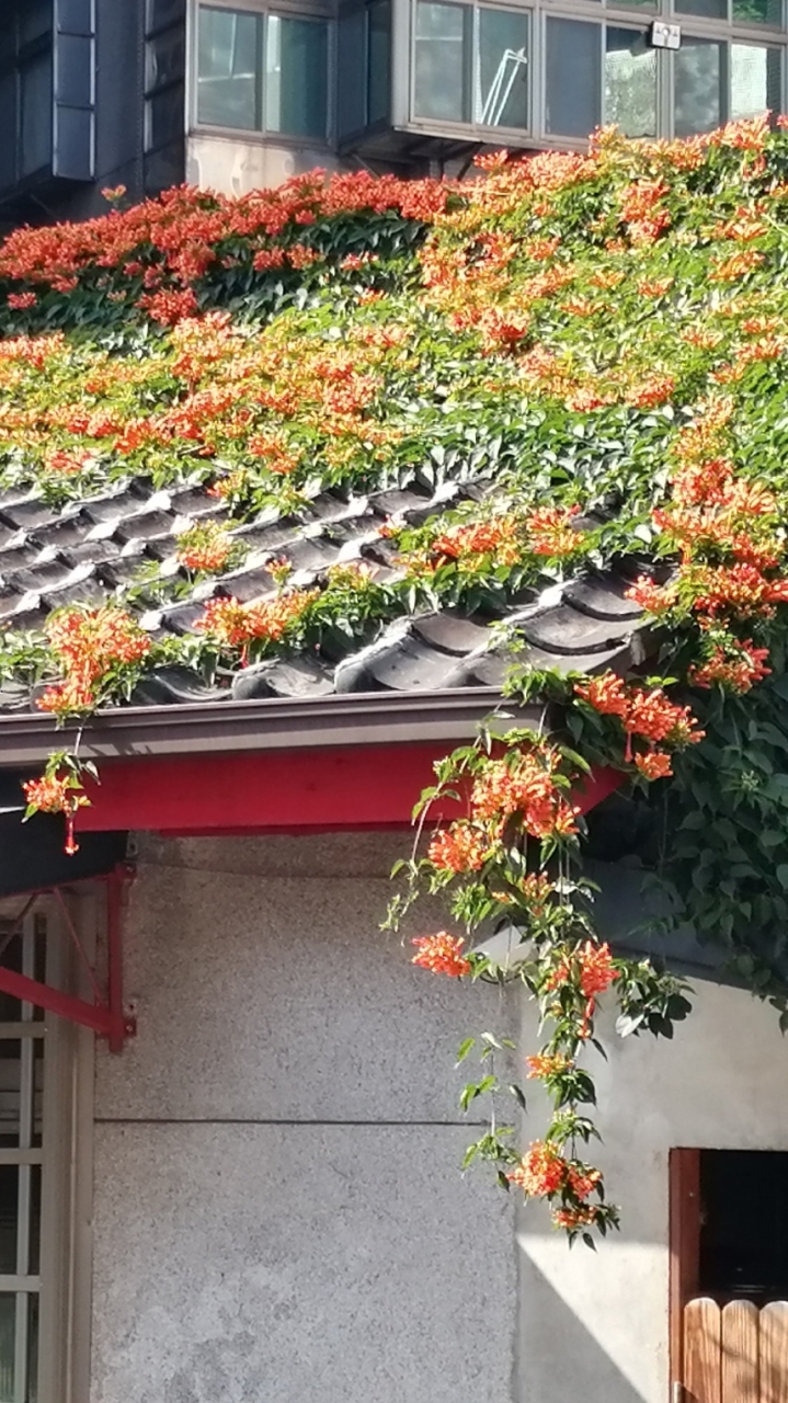 明興里(社區)公務活動訊息公佈欄