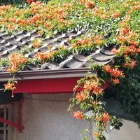 明興里(社區)公務活動訊息公佈欄