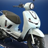 Alpha volantis group work