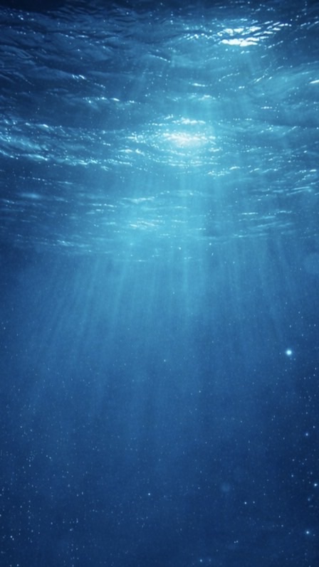 内観しました部