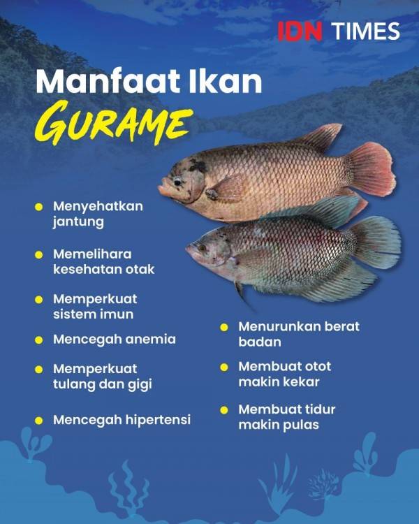 Pemanfaatan ikan gurame