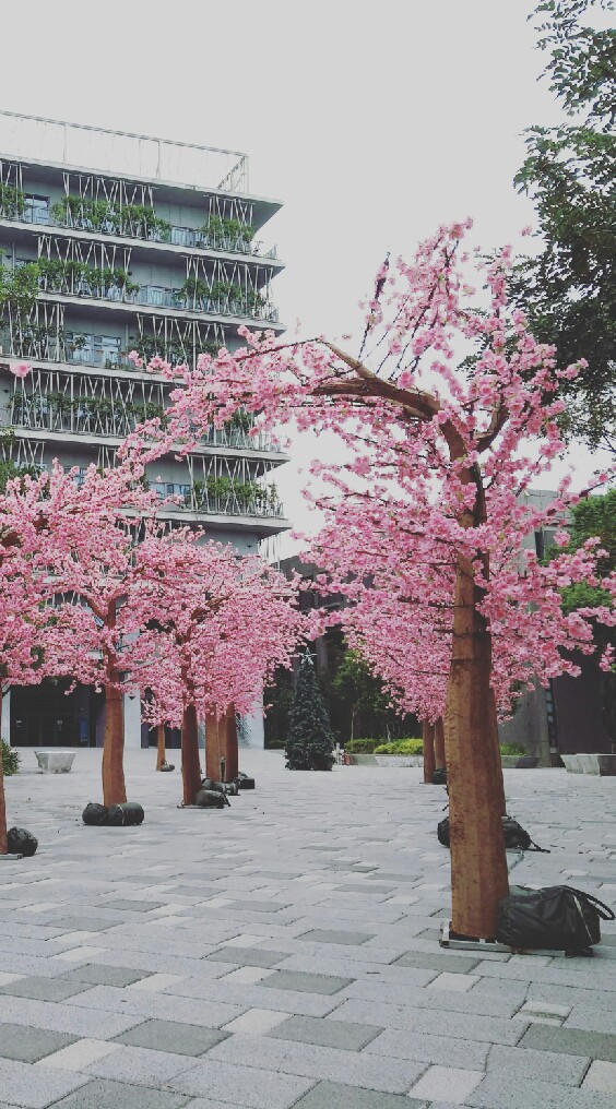 SG-高屏羽球社...