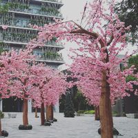 SG-高屏羽球社...