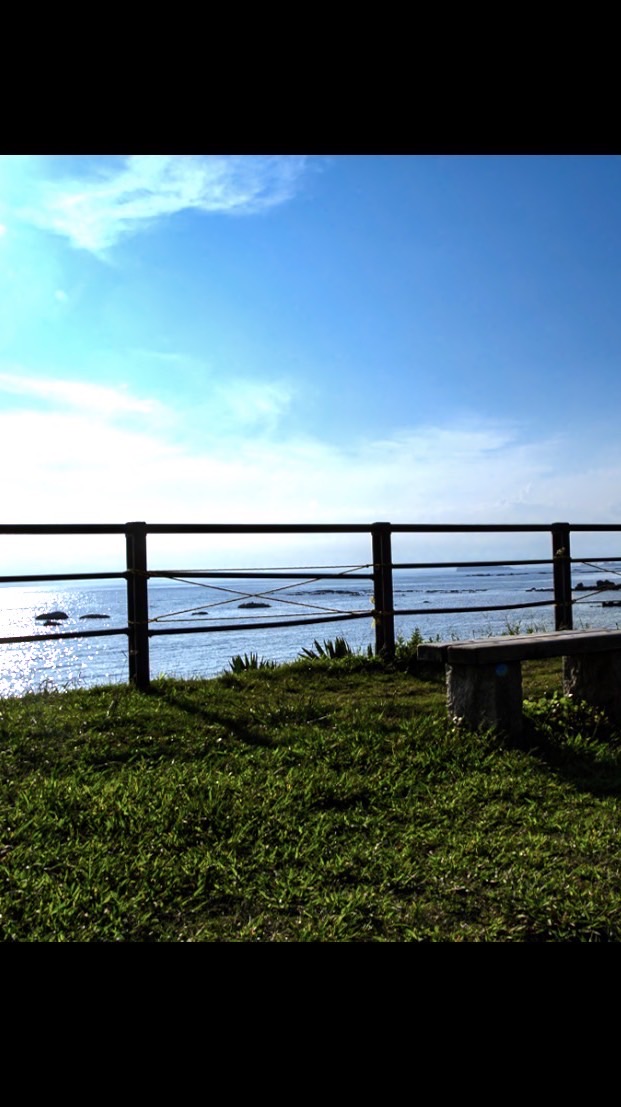 葉山町手をつなぐ育成会