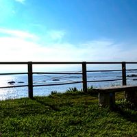 葉山町手をつなぐ育成会