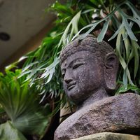 蟎大人 客製化居家除蟎