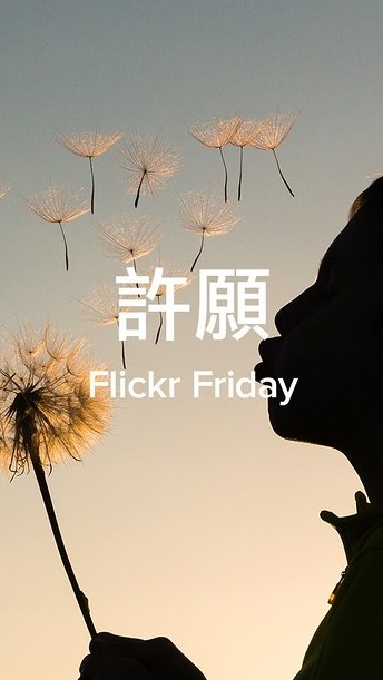全新童裝出清