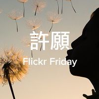 全新童裝出清