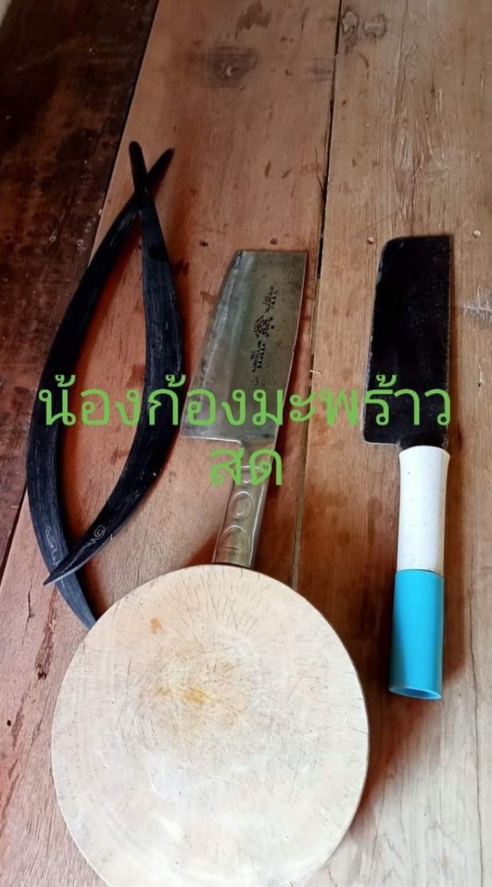 น้องก้องมะพร้าวสด