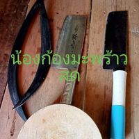 น้องก้องมะพร้าวสด