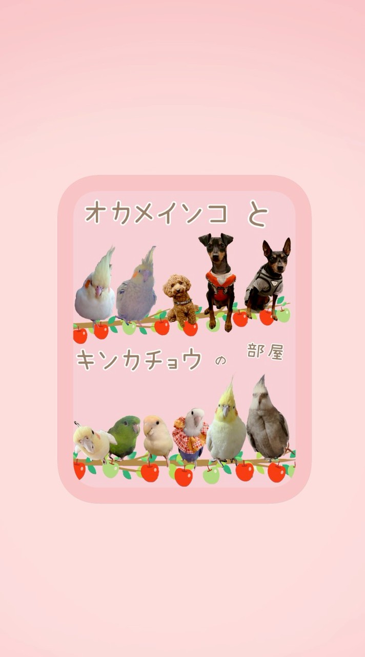 オカメインコとキンカチョウ　ときどき　犬