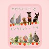 オカメインコとキンカチョウ　ときどき　犬