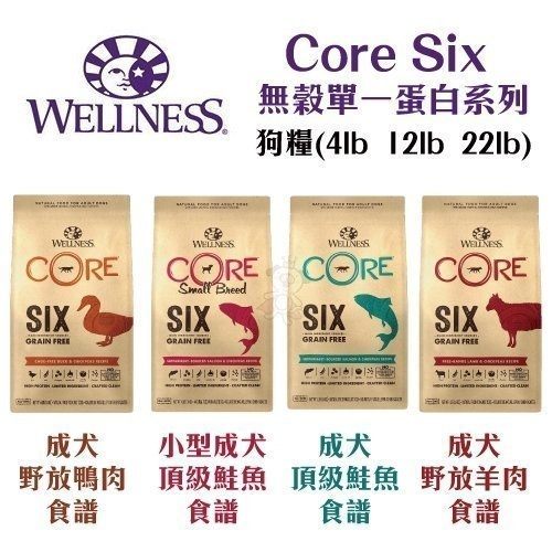 【贈全家禮卷200元】＊KING WANG＊美國WELLNESS Core SIX 無穀成犬單一蛋白(12lb=5.44kg)