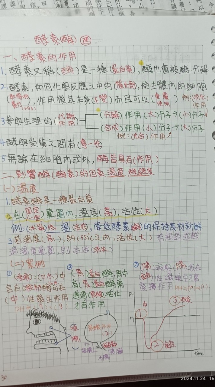 國中生