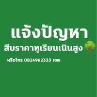 แจ้งปัญหา สืบราคาทุเรียนเนินสูง 🌳
