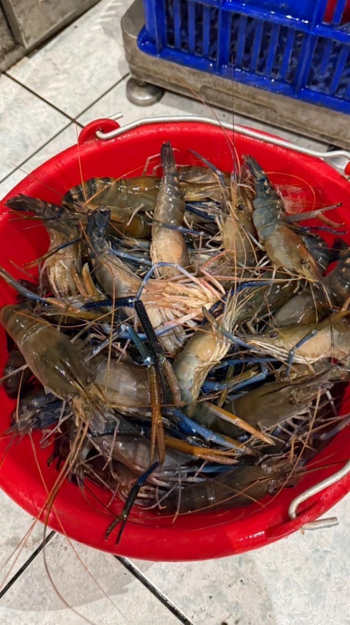 🎣🦐大桃園-泰國蝦買賣群🦐🎣自營群