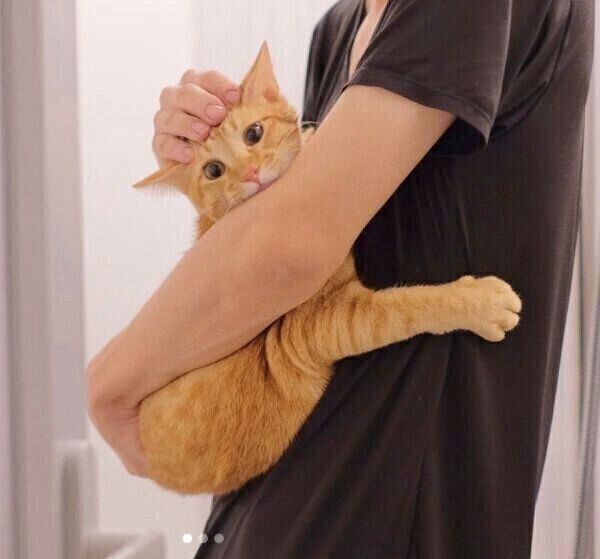 おうち時間を楽しむなら洋服も可愛く 猫パーカー