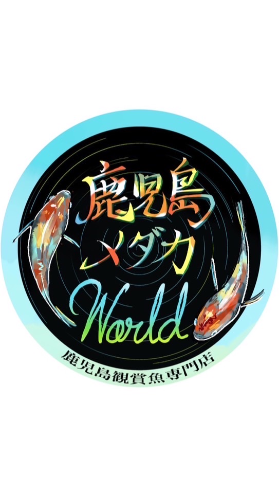 鹿児島メダカWorld＆真宮めだかオークション用オープンチャット