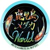 鹿児島メダカWorld＆真宮めだかオークション用オープンチャット