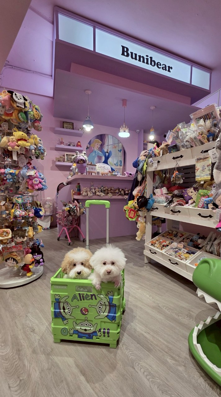 Bunibear.手機殼雜貨玩具店