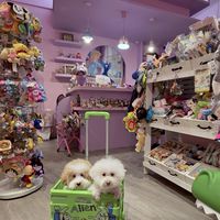 Bunibear.手機殼雜貨玩具店（布尼熊熊玩具店）