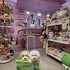 Bunibear.手機殼雜貨玩具店