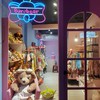 Bunibear.手機殼雜貨玩具店