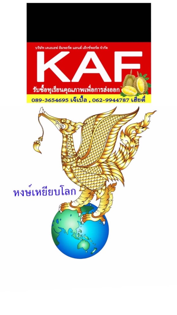 KAF(หงษ์เหยียบโลก) 🌋ทุเรียนภูเขาไฟ รุ่น1