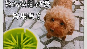網購開箱 | 令人哀傷的寵物洗腳器
