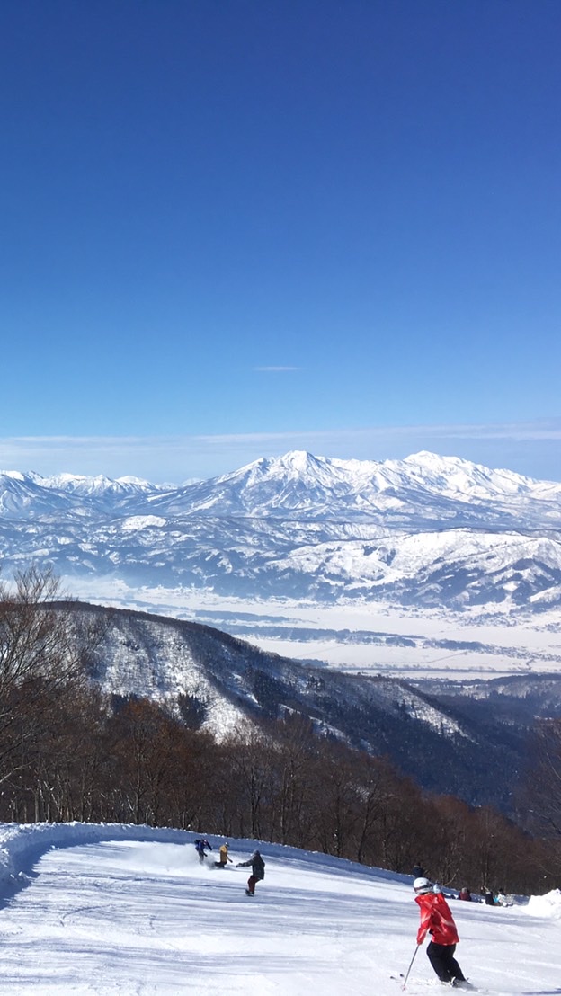 東海地区スキー⛷情報〜お得に上達！再デビューも家族スキーも！