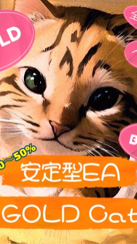 GOLD Cat 雑談部屋
