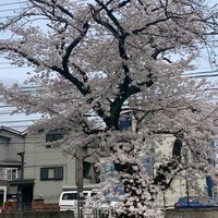新生　雑談オプ　気軽に雑談しよ!