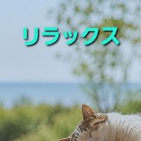 のんびり雑談広場