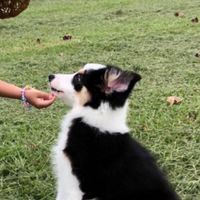 學校八卦 或是 心情
