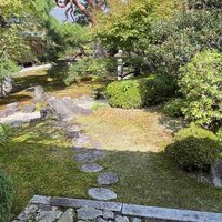 裏千家茶道