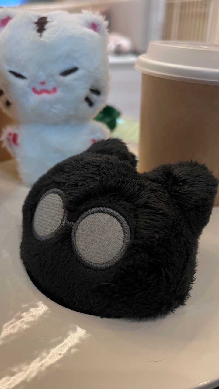 🐈‍⬛🐯小代購 𖤐
