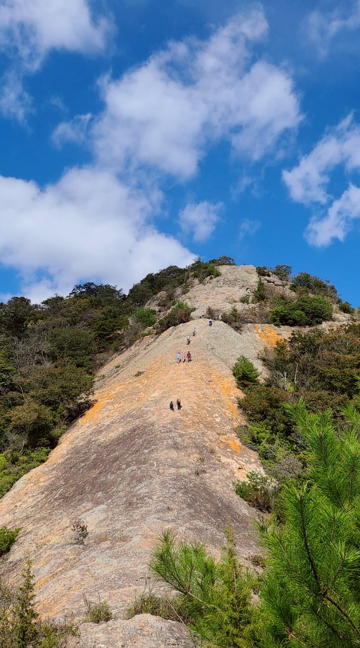 ゆる山🌻関西　ハイキング＆登山🚶の会