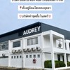 กลุ่มสมัครงาน บริษัท ออเดรย์ ดอท คอม (ไทยแลนด์) จำกัด