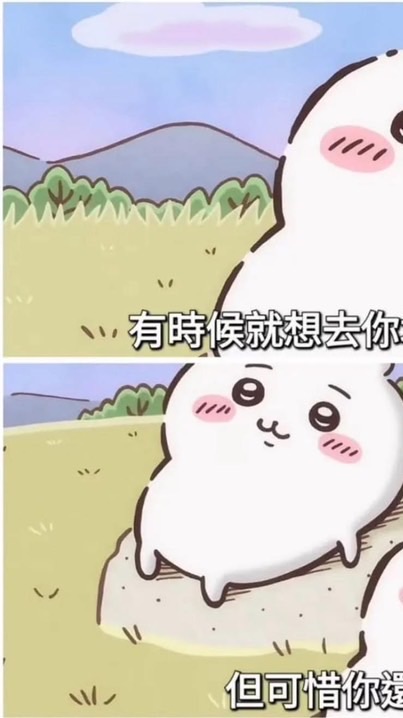 114-2物理治療師國考申覆群組