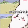 114-2物理治療師國考申覆群組
