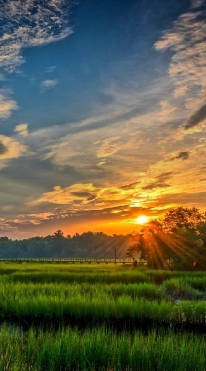 ภาพธรรมชาติ​