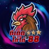 ไก่เดือยใต้88